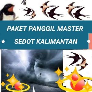 Suara Panggil Walet Sumatra Mp3